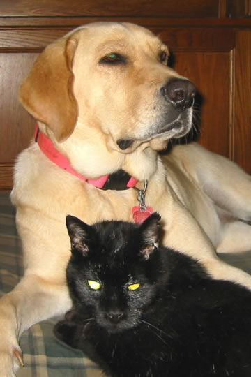 PICKLE & CULPRIT