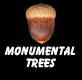 Monumental trees